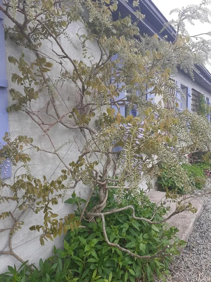 Escape To The Country Villa Westport 0*,